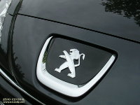 le lion de la RCZ
