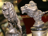 lions Peugeot